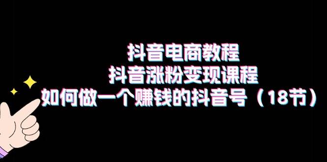 （11436期）抖音电商教程：抖音涨粉变现课程：如何做一个赚钱的抖音号（18节）-云深网创社