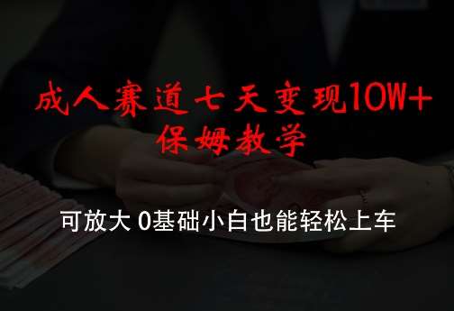 成人赛道七天变现10W+保姆教学，可放大，0基础小白也能轻松上车【揭秘】-云深网创社