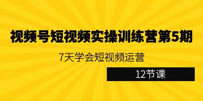 （9029期）视频号短视频实操训练营第5期：7天学会短视频运营（12节课）-云深网创社