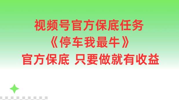 视频号官方保底任务，停车我最牛，官方保底只要做就有收益【揭秘】-云深网创社