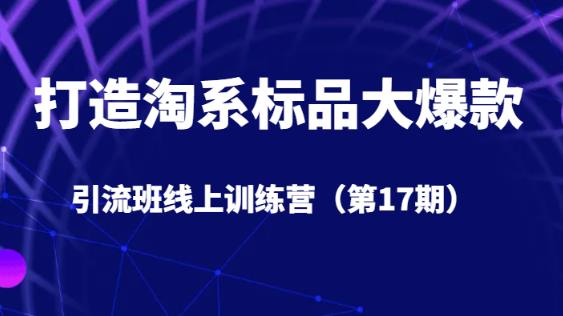 打造淘系标品大爆款引流班线上训练营5天直播授课-云深网创社