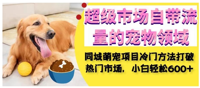 超级市场自带流量的宠物领域，同城萌宠项目冷门方法打破热门市场，小白轻松600+-云深网创社