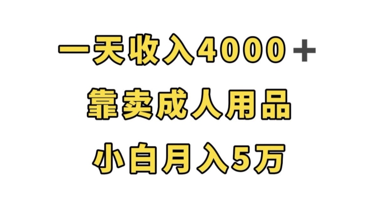 一天收入4000+，靠卖成人用品，小白轻松月入5万【揭秘】-云深网创社
