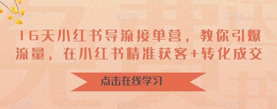 16天-小红书 导流接单营，教你引爆流量，在小红书精准获客+转化成交-云深网创社