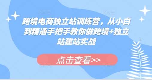 跨境电商独立站训练营，从小白到精通手把手教你做跨境+独立站建站实战-云深网创社
