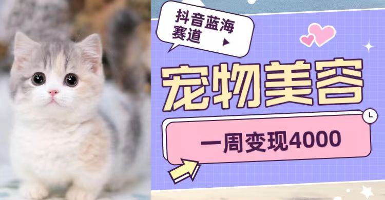 抖音蓝海赛道，宠物美容，一周变现4000-云深网创社