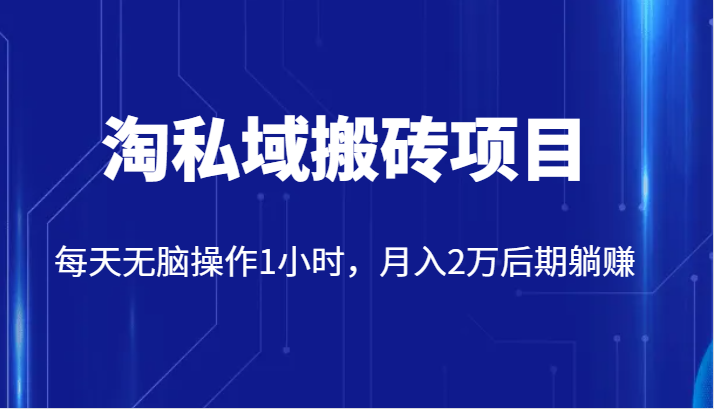 价值2980的淘私域搬砖项目，每天无脑操作1小时，月入2万后期躺赚-云深网创社