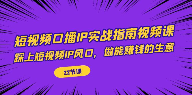 短视频口播IP实战指南视频课，踩上短视频IP风口，做能赚钱的生意（22节课）-云深网创社