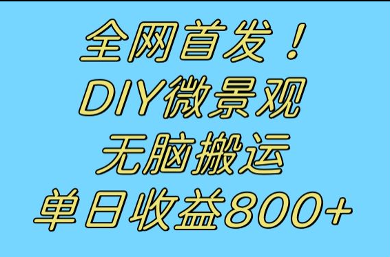 全网首发冷门赛道！DIY微景观，无脑搬运视频，日收益800+-云深网创社