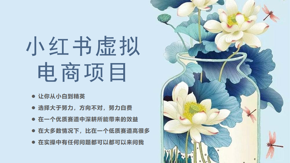 小红书虚拟电商从0到1小白到精英（20节实操课程）-云深网创社