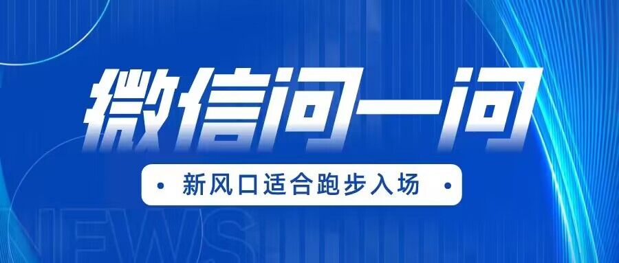 全网首发微信问一问新风口变现项目（价值1999元）-云深网创社