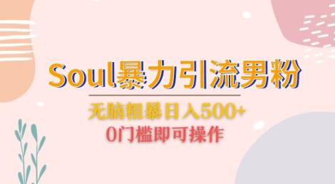 Soul暴力引流男粉玩法，无脑粗暴日入500＋，0门槛即可操作【揭秘】-云深网创社
