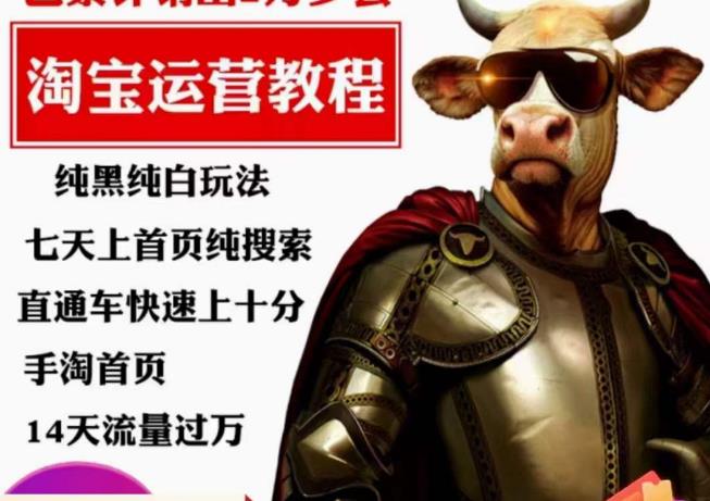 猫老师·淘系算法逆向解密，​纯黑纯白玩法，七天上首页纯搜索，手淘首页14天流量过万-云深网创社