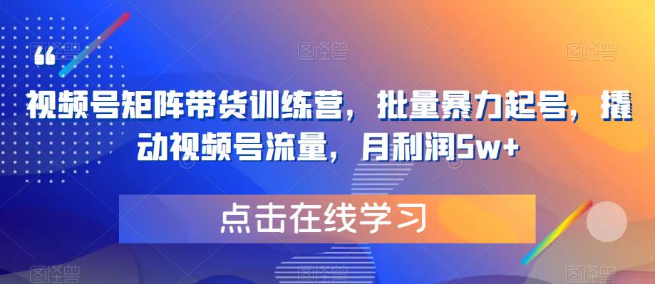 视频号矩阵带货训练营，批量暴力起号，撬动视频号流量，月利润5w+-云深网创社