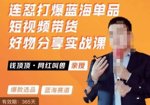 网红叫兽·连怼打爆蓝海单品，短视频带货好物分享实战课-云深网创社