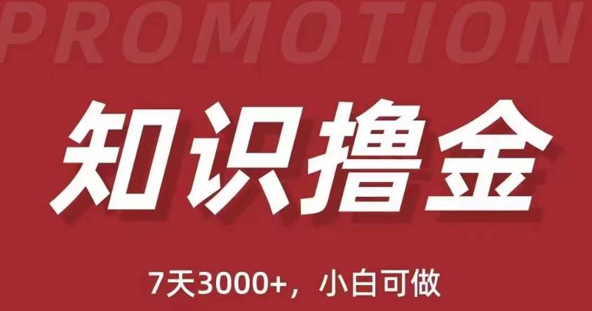 抖音知识撸金项目：简单粗暴日入1000+执行力强当天见收益(教程+资料)-云深网创社