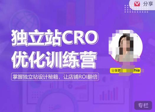 独立站CRO优化训练营，掌握独立站设计秘籍，打造高转化的独立站，让店铺ROI翻倍-云深网创社