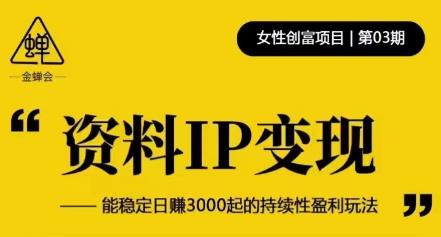 资料IP变现，能稳定日赚3000起的持续性盈利玩法-云深网创社