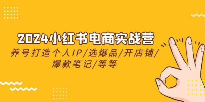 2024小红书电商实战营，养号打造IP/选爆品/开店铺/爆款笔记/等等（24节）-云深网创社