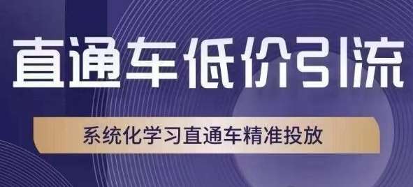 直通车低价引流课，系统化学习直通车精准投放-云深网创社