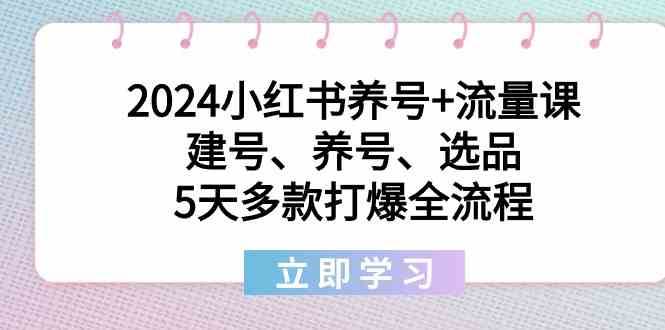 2024小红书养号+流量课：建号、养号、选品，5天多款打爆全流程-云深网创社