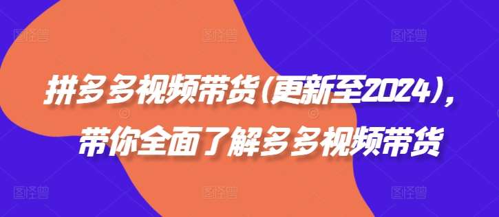 拼多多视频带货(更新至2024)，带你全面了解多多视频带货-云深网创社