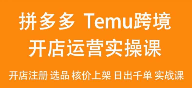 2024Temu最新玩法，Temu跨境开店运营实操课，开店注册/选品/核价上架/日出千单实战课-云深网创社