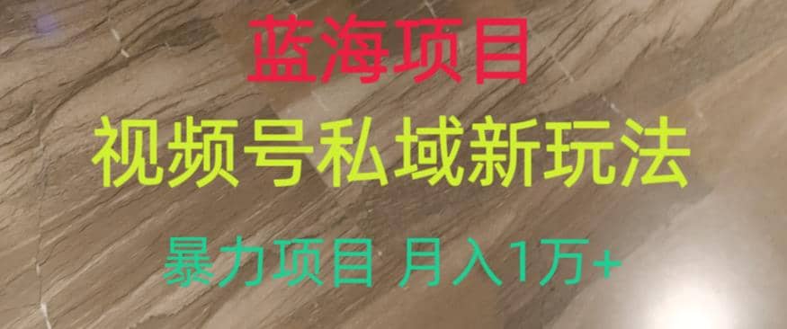 蓝海项目，视频号私域新玩法，暴力项目月入1万+【揭秘】-云深网创社