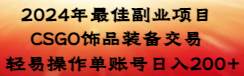 （8941期）2024年最佳副业项目 CSGO饰品装备交易 轻易操作单账号日入200+-云深网创社
