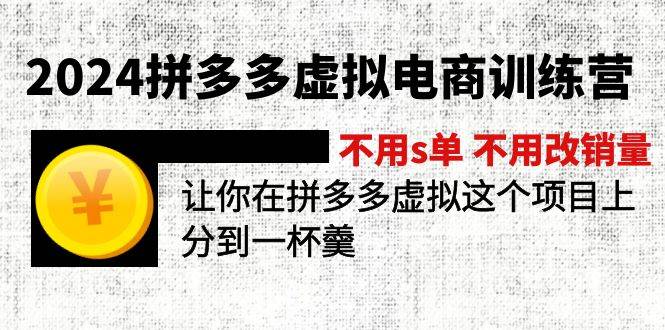 （12024期）2024拼多多虚拟电商训练营 不s单 不改销量  做虚拟项目分一杯羹(更新10节)-云深网创社