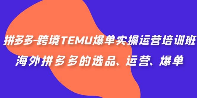 拼多多-跨境TEMU爆单实操运营培训班，海外拼多多的选品、运营、爆单-云深网创社