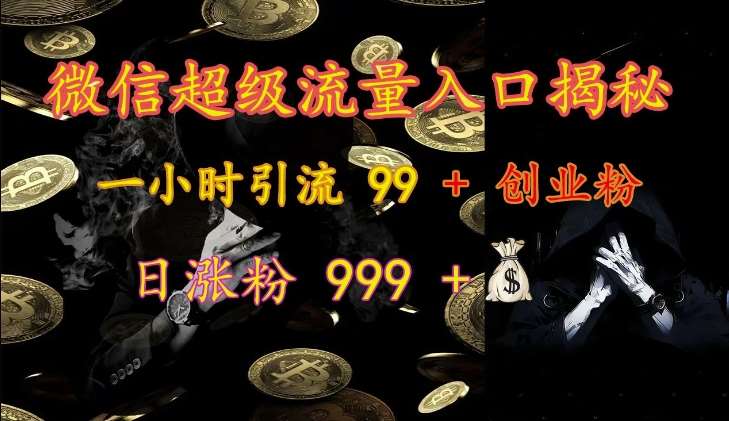 微信超级流量入口揭秘：一小时引流 99 + 创业粉，日涨粉 999 +-云深网创社