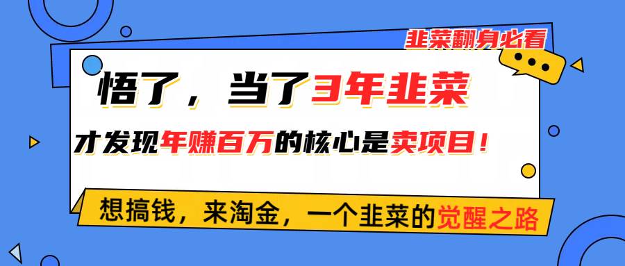 （10759期）悟了，当了3年韭菜，才发现网赚圈年赚100万的核心是卖项目，含泪分享！-云深网创社