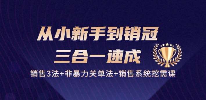 从小新手到销冠 三合一速成：销售3法+非暴力关单法+销售系统挖需课 (27节)-云深网创社