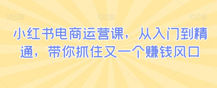 小红书电商运营课，从入门到精通，带你抓住又一个赚钱风口-云深网创社