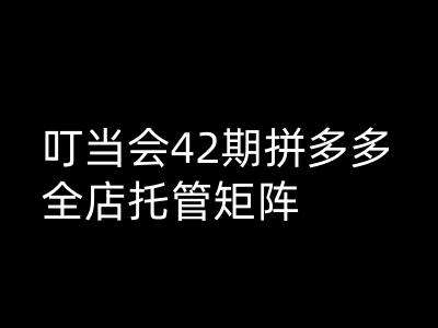 叮当会拼多多打爆班原创高阶技术第42期，拼多多全店托管矩阵-云深网创社