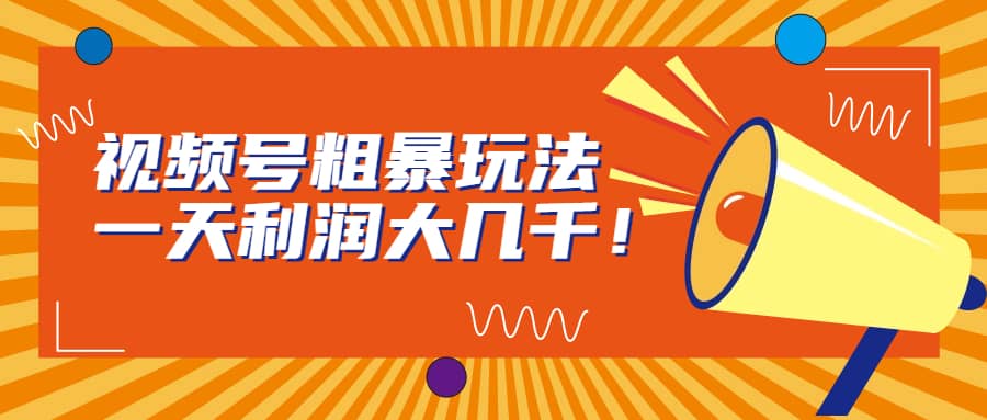 视频号粗暴玩法，一天利润大几千-云深网创社