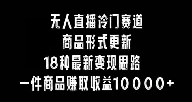 无人直播冷门赛道，商品形式更新，18种变现思路，一件商品赚取收益10000+【揭秘】-云深网创社