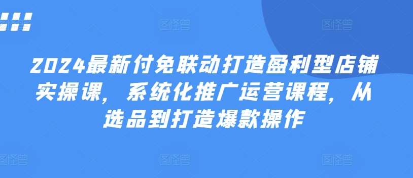 2024最新付免联动打造盈利型店铺实操课，​系统化推广运营课程，从选品到打造爆款操作-云深网创社