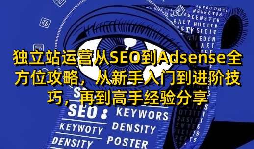 独立站运营从SEO到Adsense全方位攻略，从新手入门到进阶技巧，再到高手经验分享-云深网创社