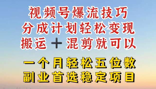 视频号爆流技巧，分成计划轻松变现，搬运 +混剪就可以，一个月轻松五位数稳定项目【揭秘】-云深网创社
