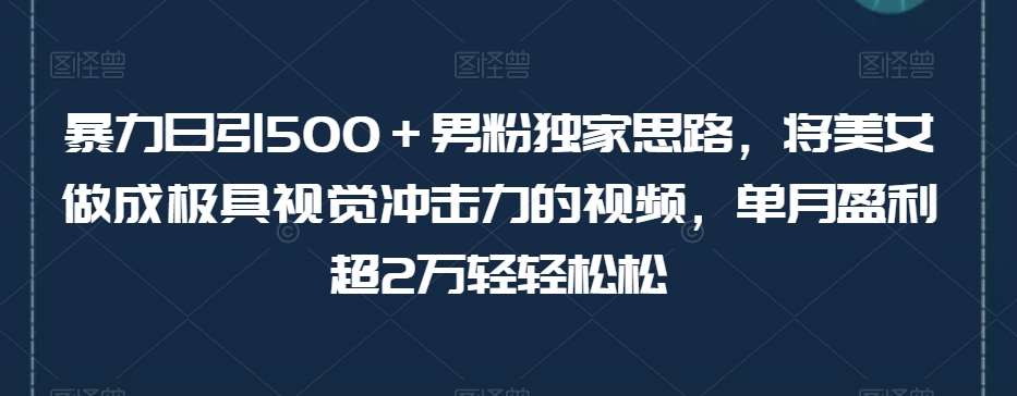 暴力日引500＋男粉独家思路，将美女做成极具视觉冲击力的视频，单月盈利超2万轻轻松松-云深网创社
