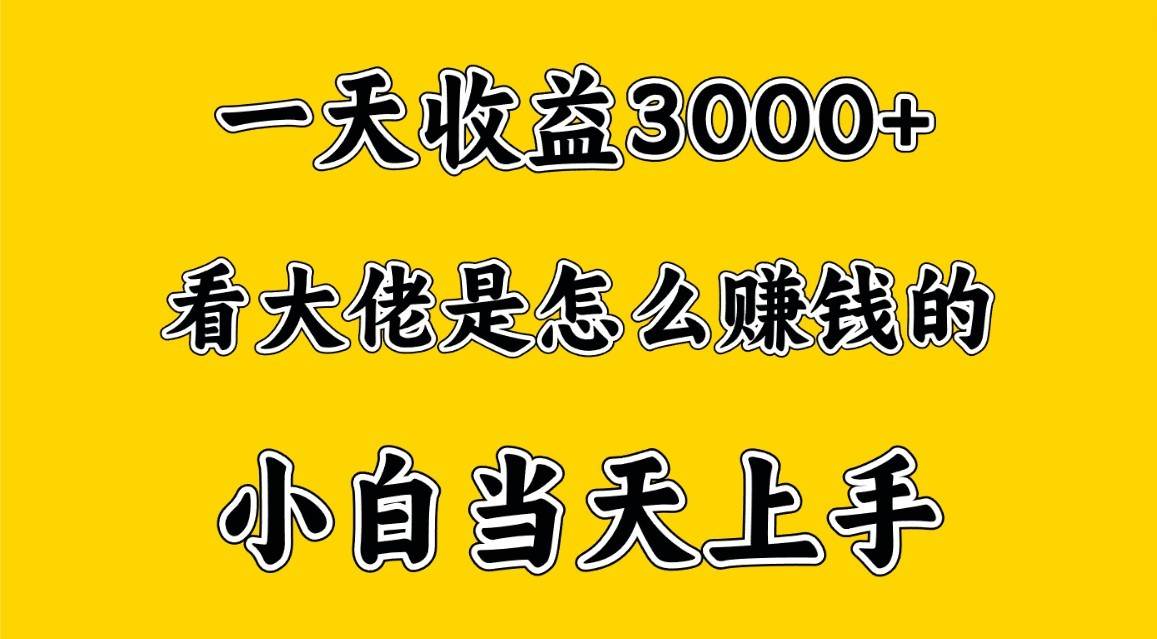 一天赚3000多，大佬是这样赚到钱的，小白当天上手，穷人翻身项目-云深网创社