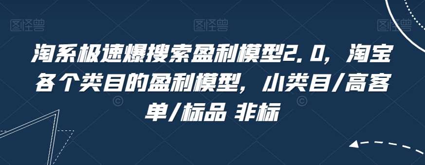 淘系极速爆搜索盈利模型2.0，淘宝各个类目的盈利模型，小类目/高客单/标品 非标-云深网创社