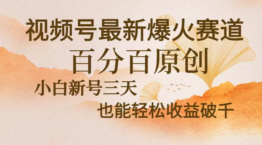 （13225期）视频号最新爆火赛道，中老年粉深信不疑，百分百原创，新号三天收益轻松…-云深网创社