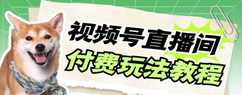 （7660期）视频号美女付费无人直播，轻松日入500+【详细玩法教程】-云深网创社