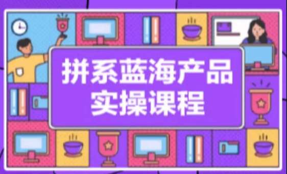 拼系冷门蓝海产品实操课程，从注册店铺到选品上架到流量维护环环相扣-云深网创社