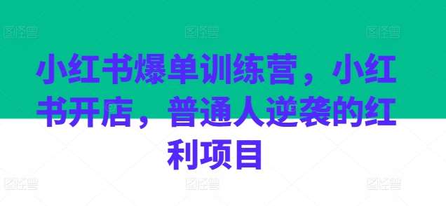 小红书爆单训练营，小红书开店，普通人逆袭的红利项目-云深网创社