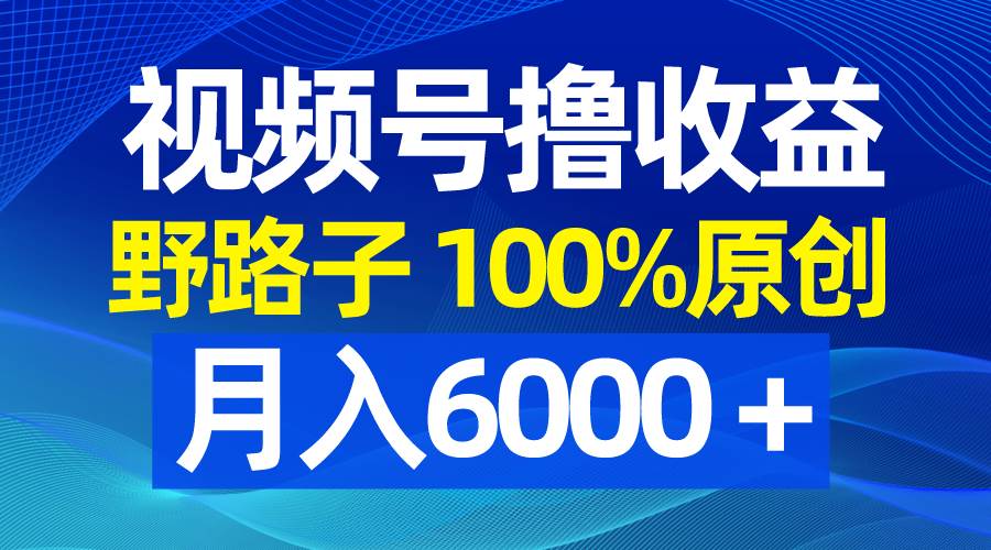 （8679期）视频号野路子撸收益，100%原创，条条爆款，月入6000＋-云深网创社