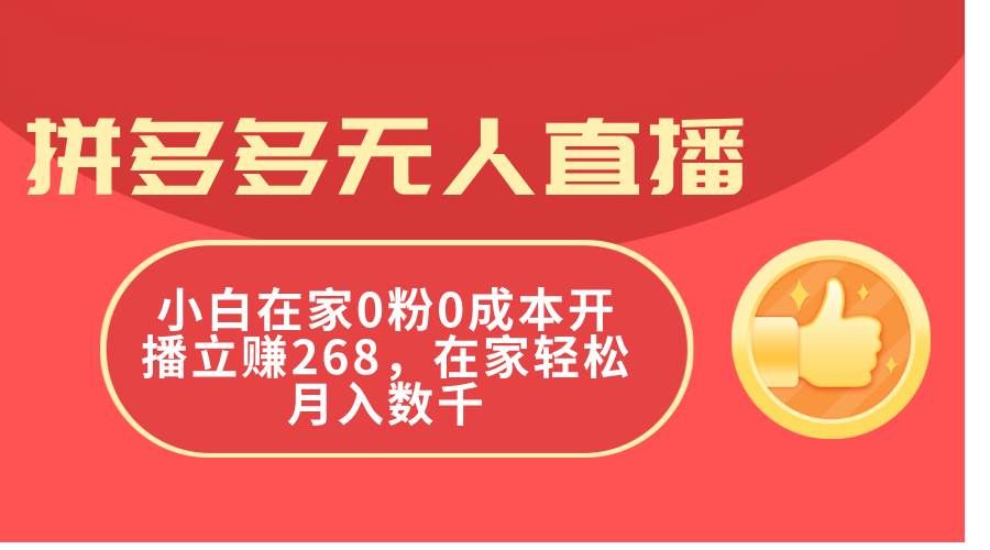 （11521期）拼多多无人直播，小白在家0粉0成本开播立赚268，在家轻松月入数千-云深网创社